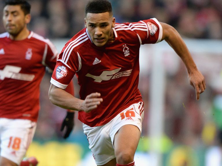 Jamaal Lascelles: Has been linked with a Premier League move for some time