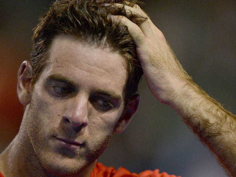 Juan Martin del Potro: Dumped out in the second round