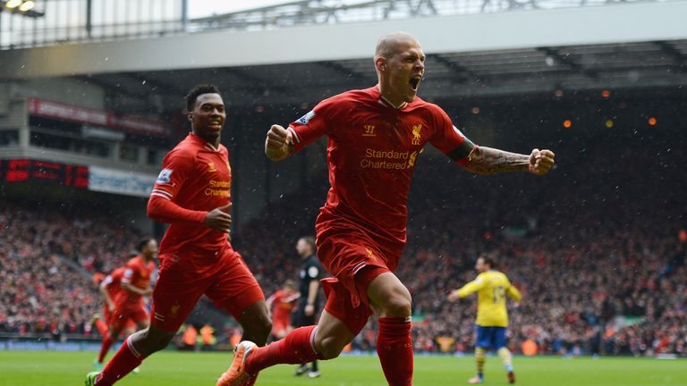 Martin Skrtel: Hailed by Brendan Rodgers