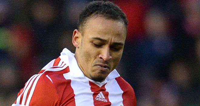 Peter Odemwingie: Mark Hughes happy with how he has settled in
