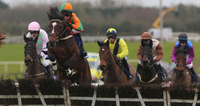 Gerdago (r): Set to run at Cheltenham