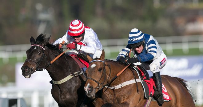 Oscar Whisky: Major claims at Cheltenham