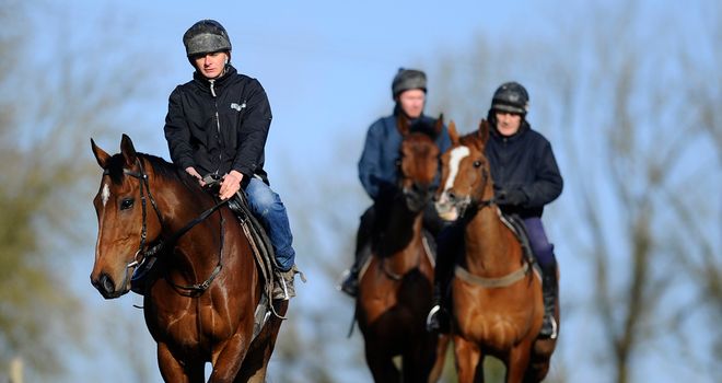 The New One heads the Nigel Twiston-Davies team at exercise