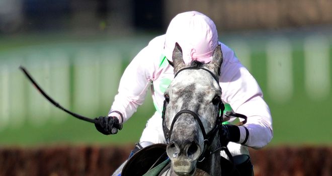Ballycasey: Two and a half miles could prove ideal for him today