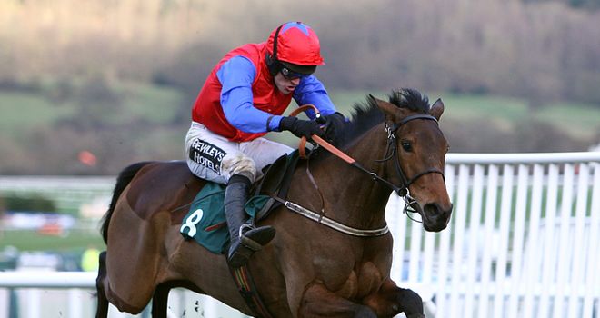 Quevega: Bidding for sixth successive win