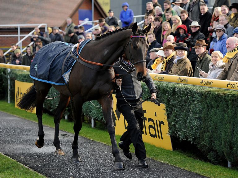 Sprinter Sacre: Out of Cheltenham