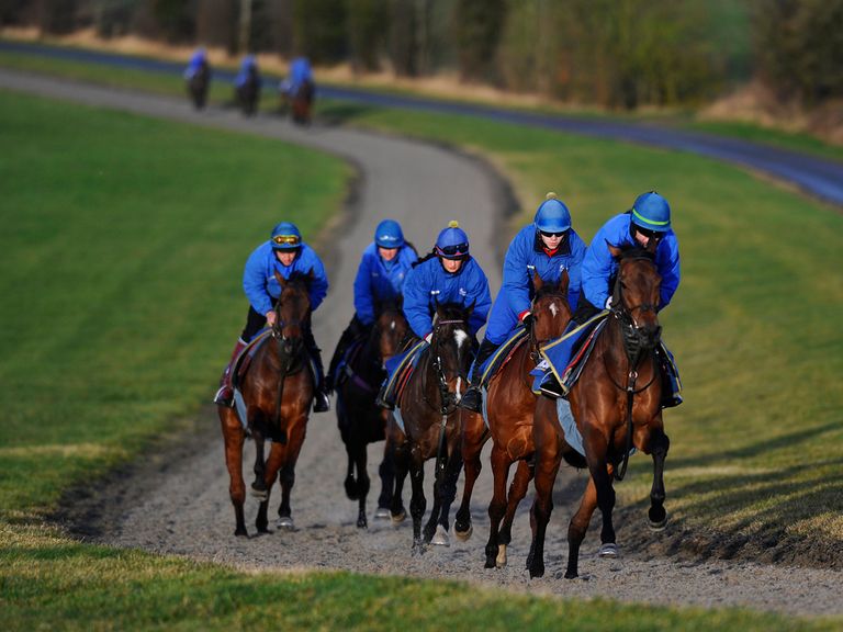 The O'Neill team are put through their paces on Thursday morning