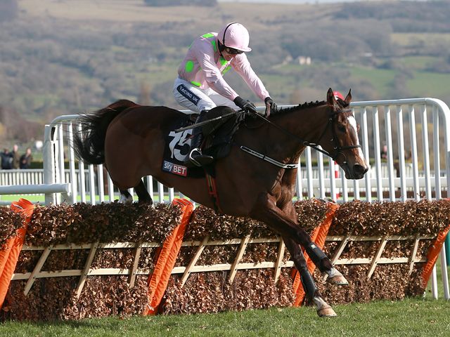 Vautour wings the last on his way to an impressive success