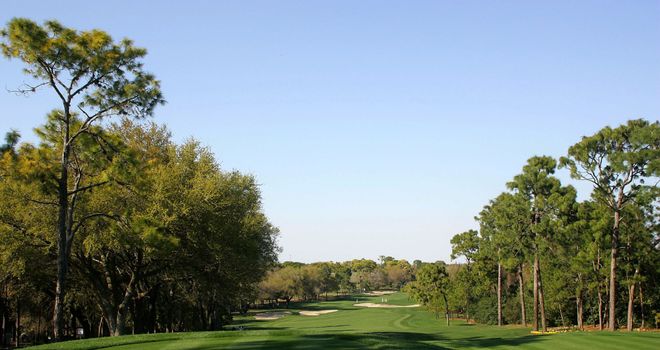 The view from the first tee at the Copperhead course