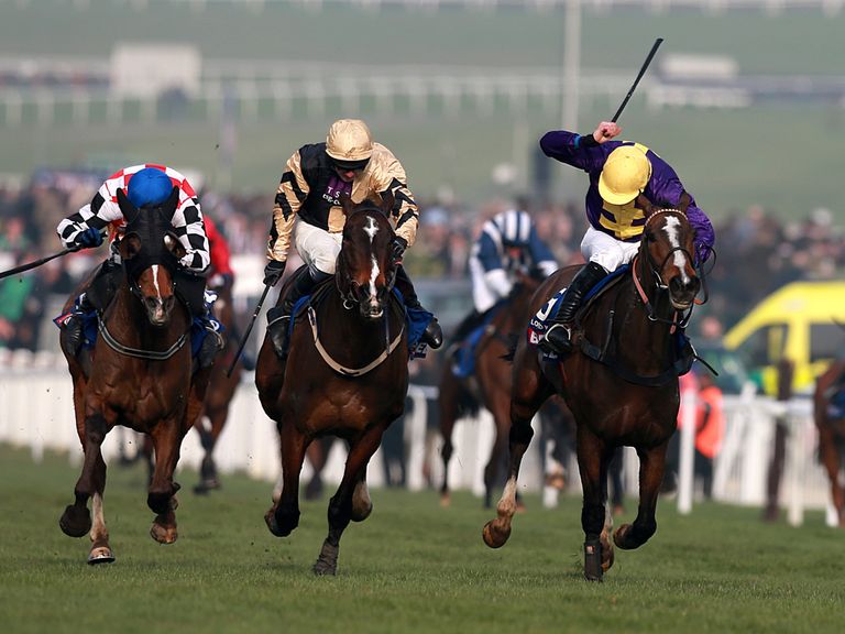 http://e0.365dm.com/14/03/768x576/Lord-Windermere-Cheltenham-Gold-Cup-FULL_3100896.jpg?20140314160143