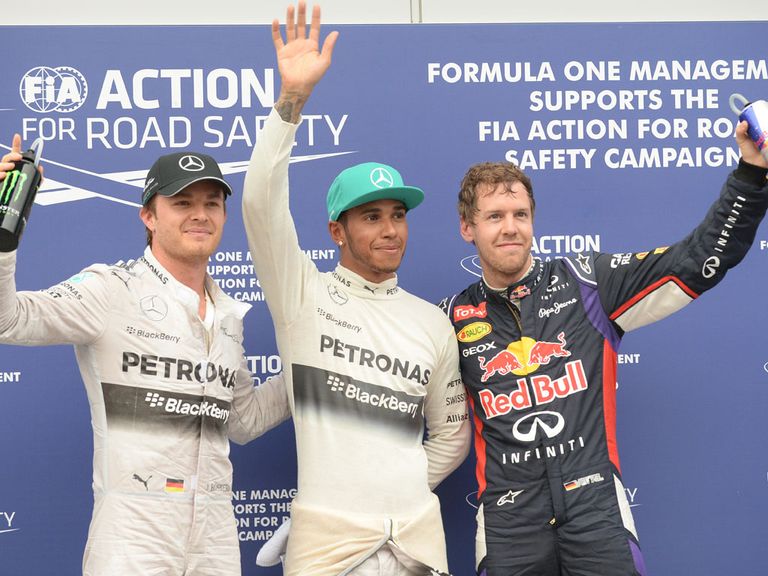 Lewis Hamilton: Won the Malaysian Grand Prix