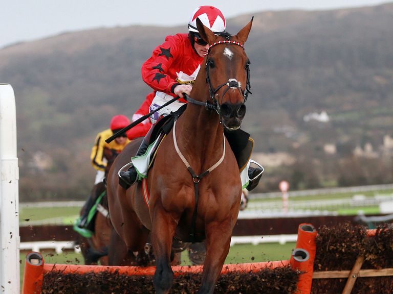 New One on song for Aintree The-New-One-Dec-2013-Cheltenham_3098645