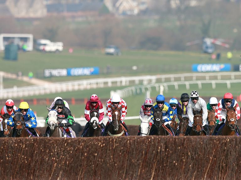 The New Course will be watered at Cheltenham