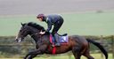 Trip switch for Toormore