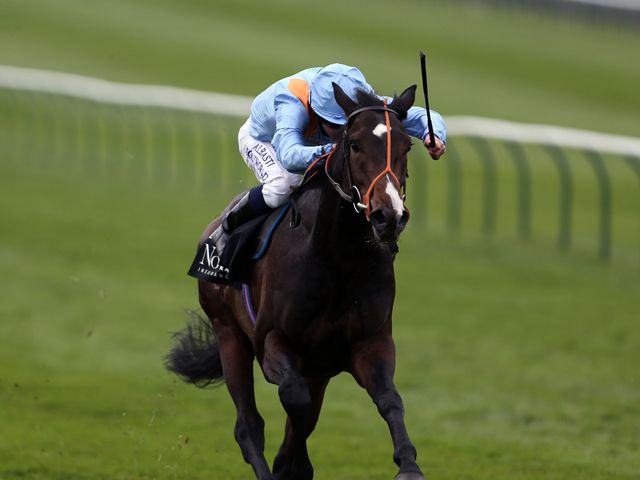 Toormore: Looks a million dollars