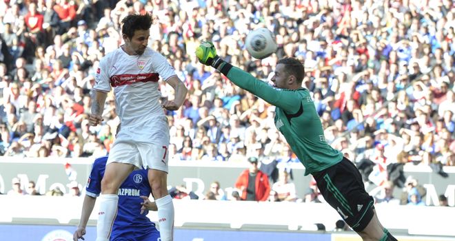 Stuttgart's forward Martin Harnik hits the target