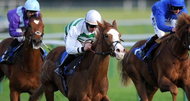 Cubanita: Can win the Yorkshire Cup for Ralph Beckett