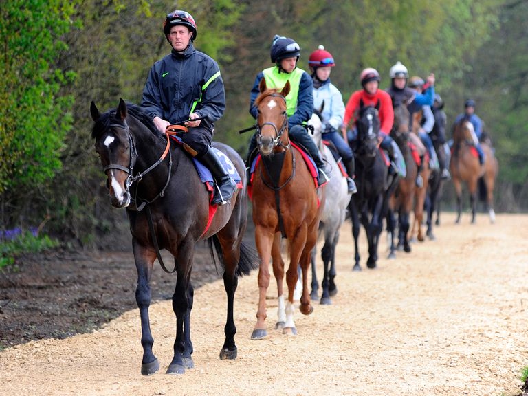Toormore's test results returned clear