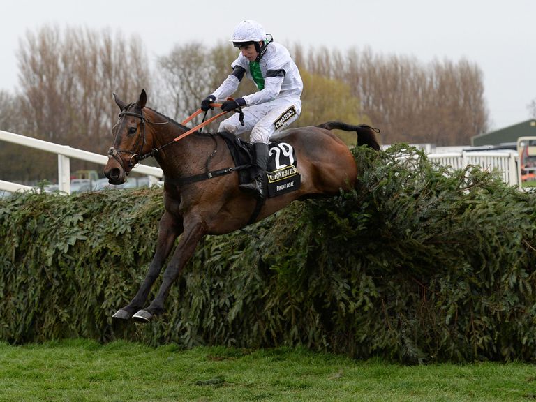 Pineau De Re: Won this year's Crabbie's Grand National.
