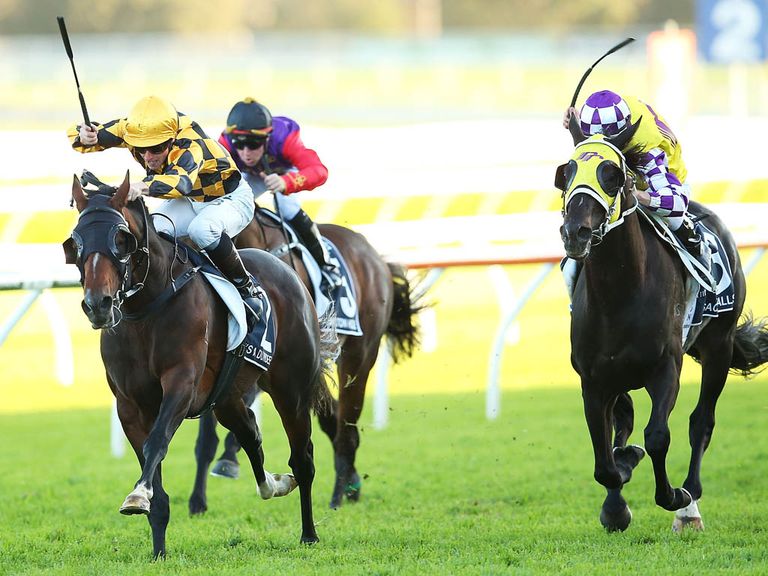 The six-time Group One winner It's A Dundeel will stand at Arrowfield Stud