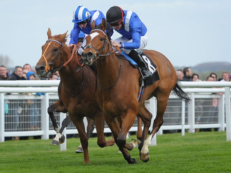 Matalleb (right) ridden by Dane O'Neill beats Mutakayyef ridden by Paul Hangan