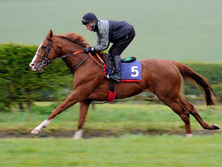 Shifting Power: Ran well in France earlier in the week
