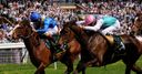Lustrous in Curragh contention