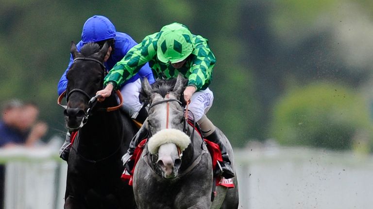 The Grey Gatsby: Dante winner heads to Chantilly