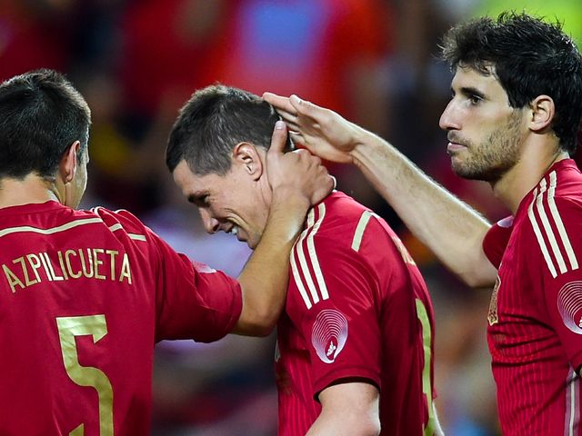 Fernando Torres celebrates with his Spain teammates