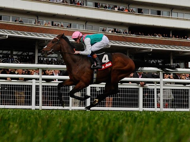 Kingman: In good order ahead of the Irish 2,000 Guineas.