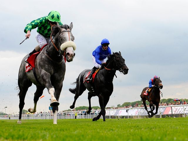 The Grey Gatsby: Won the Betfred Dante under Ryan Moore