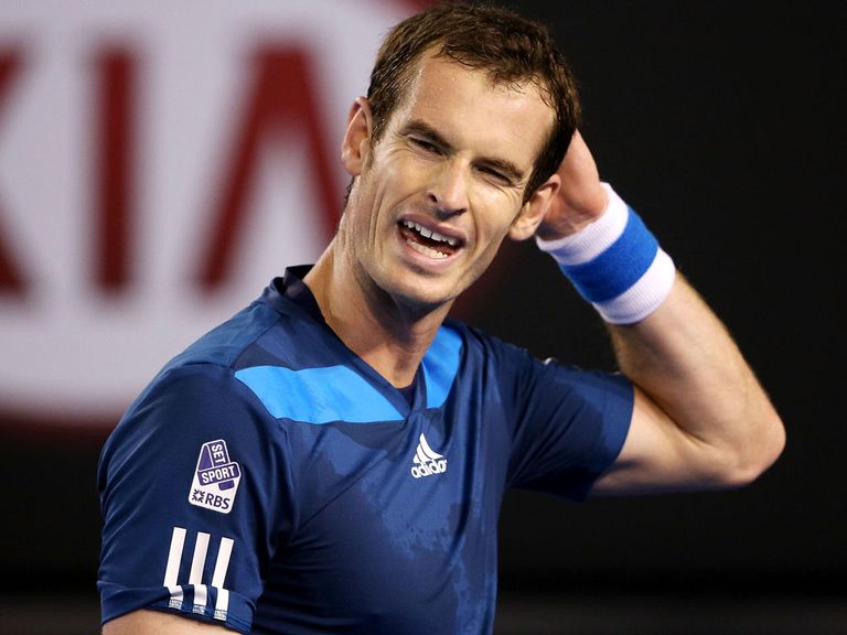 Andy Murray: Has dropped down to world No 8