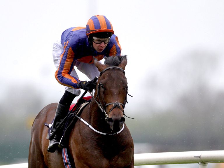 The Great War saunters to victory under Joseph O'Brien