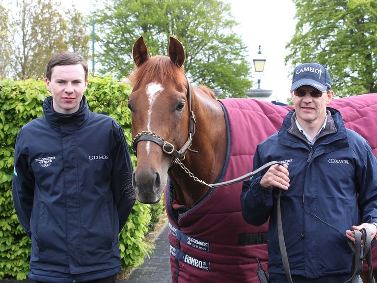 Australia poses for the cameras on a stable tour (Caroline Norris: Coolmore)