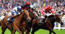 Tiggy Wiggy among Super 66