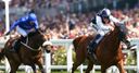 Classy entries for Champagne