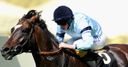 Top field seek George glory