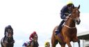 Thistle Bird to miss Nassau