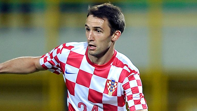 Milan Badelj: Set to join Fiorentina on a four-year deal from Hamburg