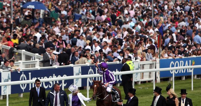 Australia was a hugely-impressive winner of the 2014 Derby