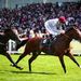 Four runners in Sussex Stakes