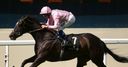 The Fugue retired after injury