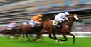 Bill seeks International win