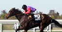 Estimate given Goodwood entry