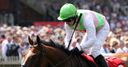 Richard Fahey: Moon to shine