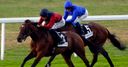 Malabar steals the show
