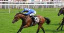 Muthmir lands the Skybet Dash