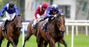 Ivawood draws Toronado comparisons