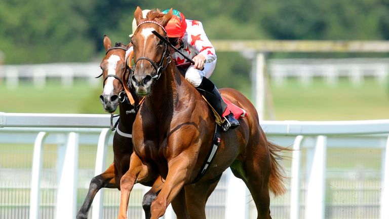 Alonsoa: On target for Newmarket