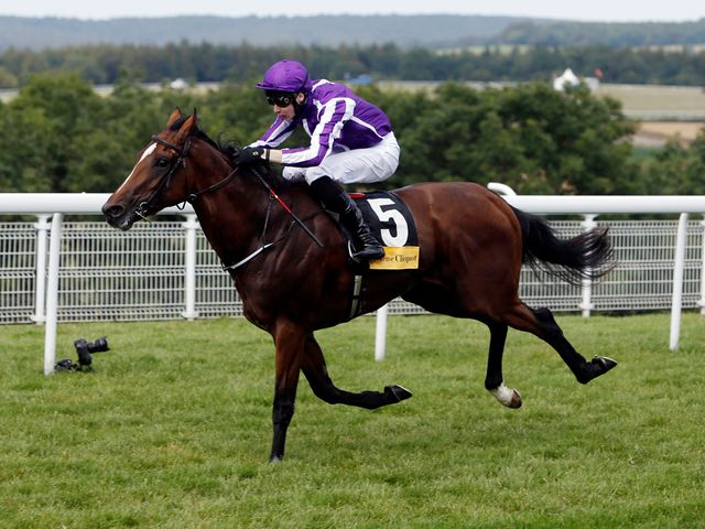 Highland Reel, ridden by Joseph O'Brien: Landed the odds in great style